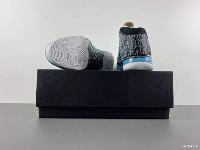 Kick Theory 23 Jordan UNC 318376-041 0812